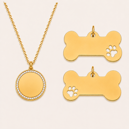 Collier Auréole — Kit Compagnon (Toutou)
